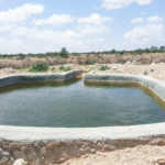 Harnessing Rainwater in Somalia: Innovative Pathways to Combat Water Scarcity, Desertification, and Arid Land Degradation